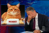 The Daily Show With Jon Stewart : COM : July 17, 2012 11:00pm-11:30pm PDT