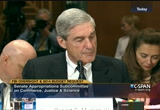 Capitol Hill Hearings : CSPAN : May 17, 2013 1:00am-6:01am EDT