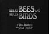D 015 Killer Birds Bees