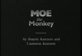 D 017 Moe The Monkey