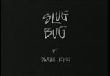 D 023 Slug Bug