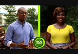 Eco-at-Africa - The Environment Magazine : DW : July 7, 2018 8:30am-9:00am CEST