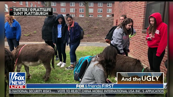 Fox and Friends First : FOXNEWSW : May 10, 2019 2:00am-3:00am PDT