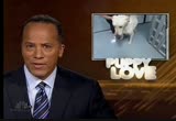 NBC Nightly News : KNTV : July 24, 2010 4:30pm-5:00pm PST