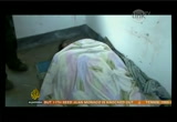 Al Jazeera World News : LINKTV : January 14, 2013 7:00pm-7:30pm PST