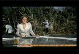 Al Jazeera World News : LINKTV : February 10, 2013 2:00pm-2:30pm PST