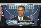News Nation : MSNBCW : December 19, 2012 11:00am-12:00pm PST