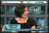 NOW With Alex Wagner : MSNBC : October 29, 2012 12:00pm-1:00pm EDT