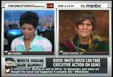 News Nation : MSNBC : January 9, 2013 2:00pm-3:00pm EST