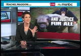 The Rachel Maddow Show : MSNBC : January 24, 2013 9:00pm-10:00pm EST