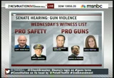 News Nation : MSNBC : January 29, 2013 2:00pm-3:00pm EST