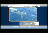 Jansing and Co. : MSNBC : October 3, 2013 10:00am-11:00am EDT