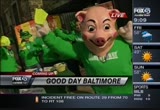 Fox 45 Good Day Baltimore : WBFF : March 8, 2012 9:00am-10:00am EST