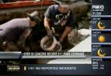 Fox 45 Morning News : WBFF : September 11, 2012 6:00am-9:00am EDT