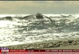 BBC World News : WHUT : January 28, 2013 7:00am-7:30am EST