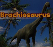 Cover of edition brachiosaurus0000nunn_l6y8