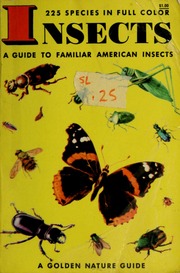 Cover of edition insectsguidetofa00zimh