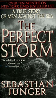 Cover of edition perfectstormtrue00jung