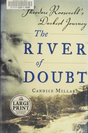 Cover of edition riverofdoubttheo0000mill