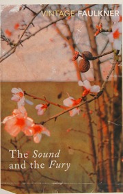 Cover of edition soundfury0000faul_w8u4