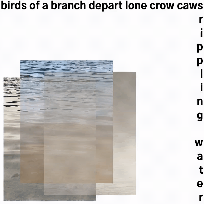 birds of a branch depart lone crow caws rippling water 