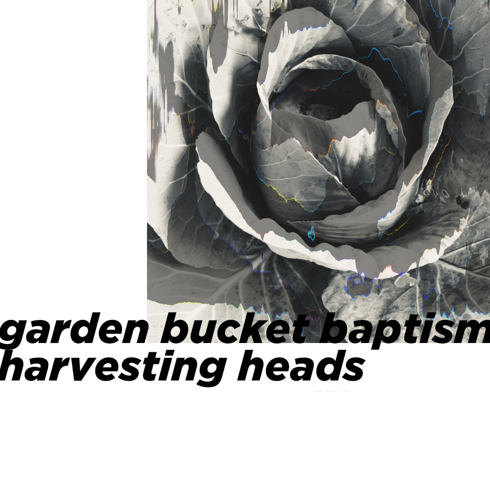garden bucket baptism harvesting heads