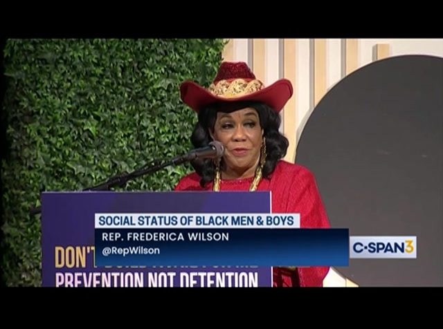 Don Lemon, Rep. Frederica Wilson & Panelists on the Social Status of Black Men & Boys : CSPAN3 : February 10, 2024 3:22am-4:48am EST
