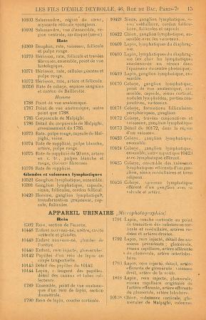Thumbnail image of a page from Liste complementaire des photographies sur verre pour projections lumineuses