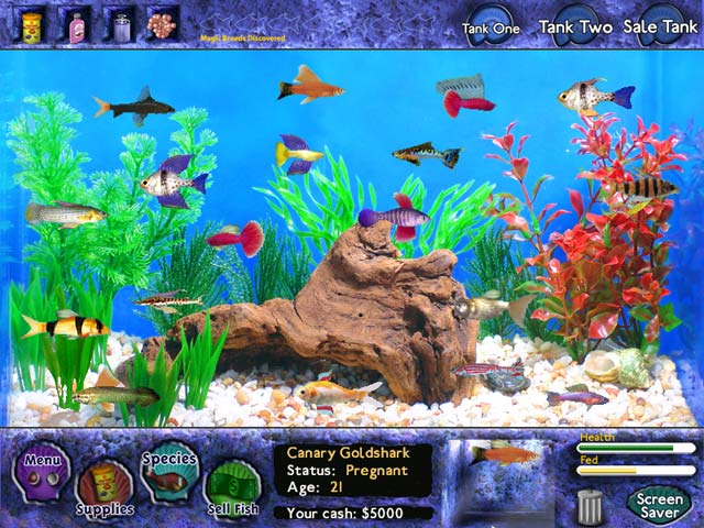 Feed and Grow Fish torrent download for PC