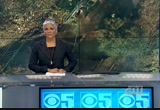 CBS 5 Eyewitness News on the CW 44 : KBCW : December 3, 2012 10:00pm-10:30pm PST