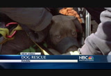 NBC Bay Area News at 6 : KNTV : March 30, 2014 6:00pm-6:31pm PDT