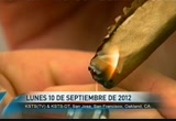 Noticias Telemundo 48 : KSTS : September 10, 2012 11:00pm-11:30pm PDT