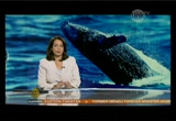 Al Jazeera World News : LINKTV : December 30, 2012 5:30am-6:00am PST