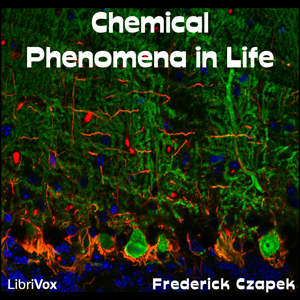 Chemical Phenomena in Life