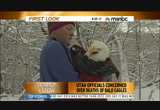 First Look : MSNBCW : December 27, 2013 2:00am-2:31am PST