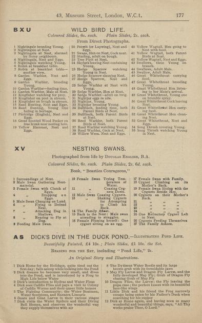 Thumbnail image of a page from Newton's lantern slide catalogue
