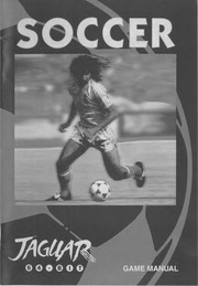 Sensible Soccer International Edition (1995) : Free Download, Borrow