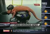 Fox 45 Morning News : WBFF : January 17, 2012 6:00am-9:00am EST