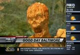 Fox 45 Good Day Baltimore : WBFF : October 24, 2012 9:00am-10:00am EDT