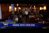 FOX 5 News at 10 : WNYW : March 15, 2016 10:00pm-11:00pm EDT