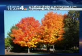 News4 Midday : WRC : October 24, 2012 11:00am-12:00pm EDT