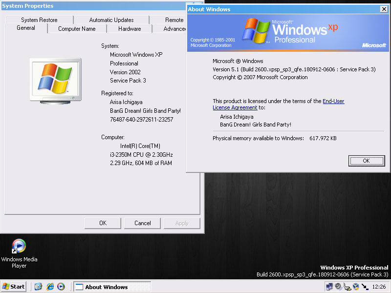 Windows XP SP3 Integral Edition 2021-10-21 : AyamiOoruri29 and Microsoft :  Free Download, Borrow, and Streaming : Internet Archive