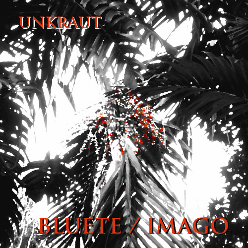 Unkraut – Bluete / Imago