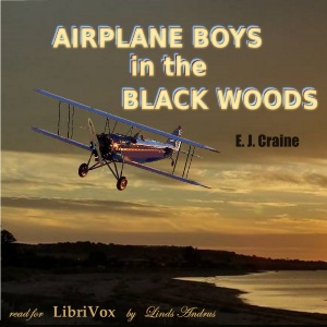 Airplane Boys in the Black WoodsAirplane Boys in the Black Woods By E. J. Craine -