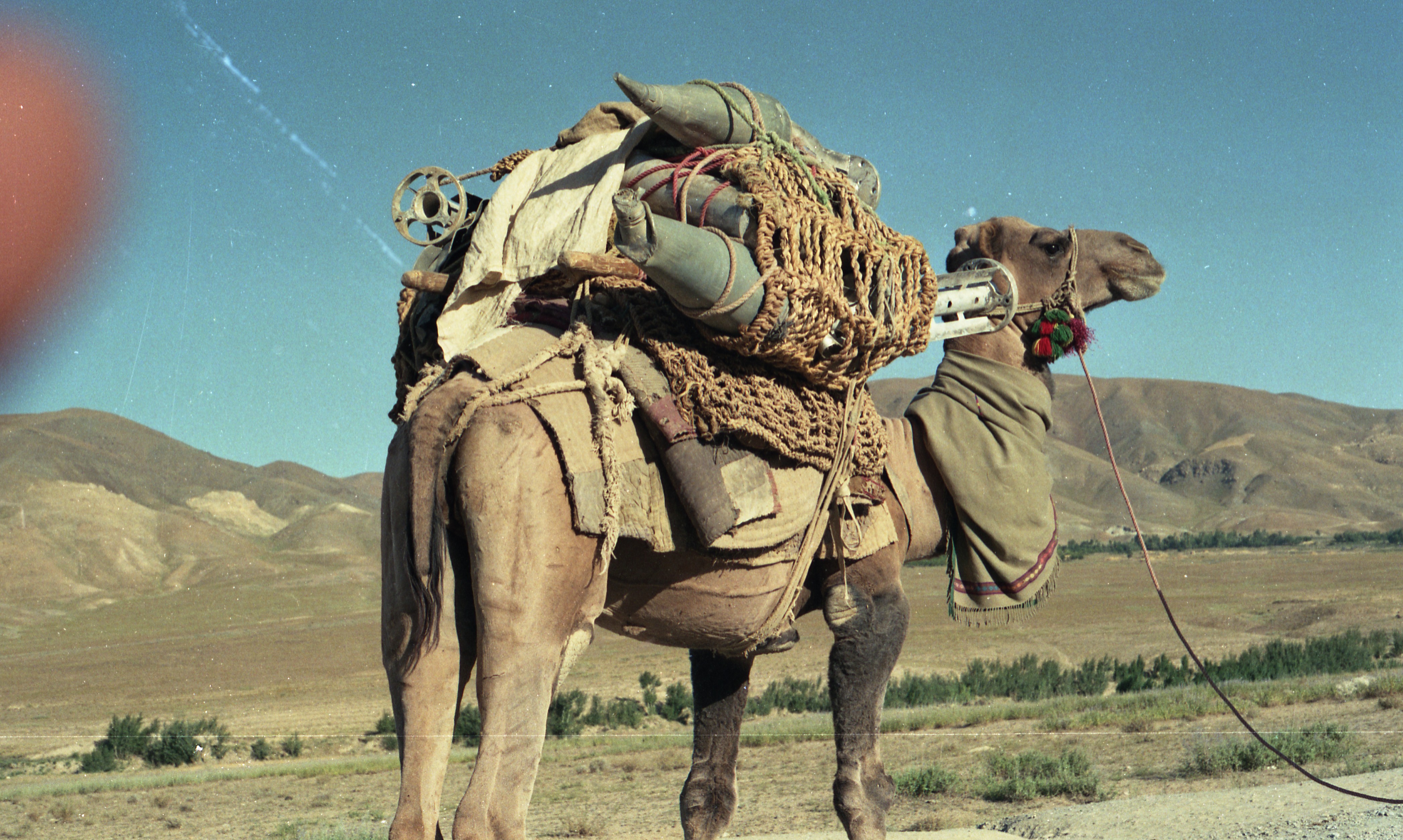 A camel loaded with pieces of used arms. : Muhammad Karim : Free 