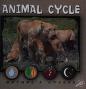 Cover of: Animal Cycle (Nature's Cycle)