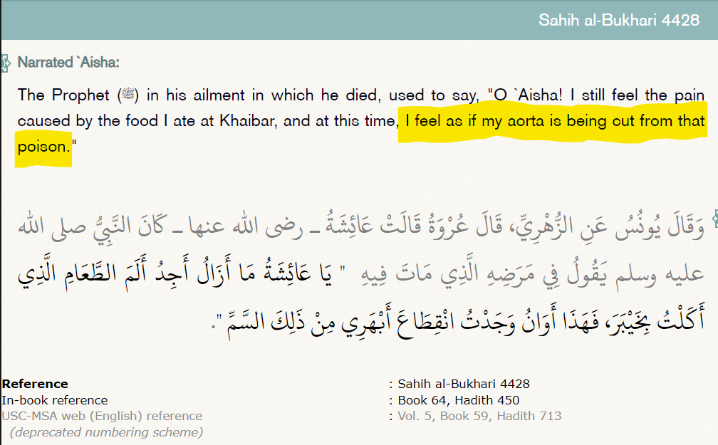 blasphemous sahih hadith 6.3