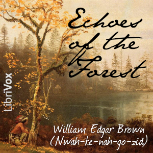 Echoes of the Forest cover