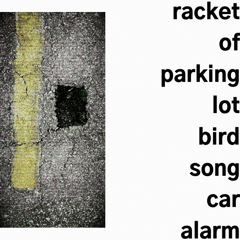 racket of parking lot bird song car alarm