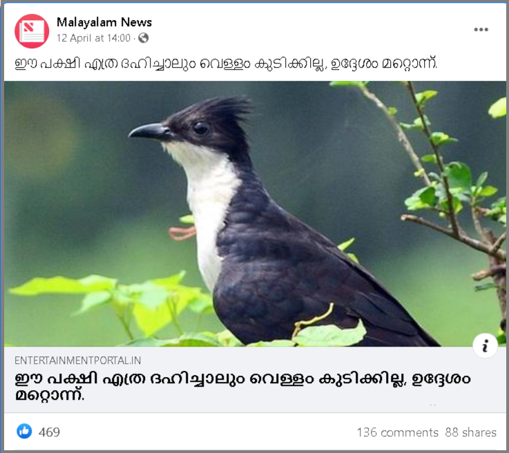 Malayalam News – Posts Facebook : Free Download, Borrow, and Streaming :  Internet Archive